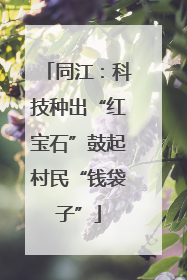 同江：科技种出“红宝石”鼓起村民“钱袋子”