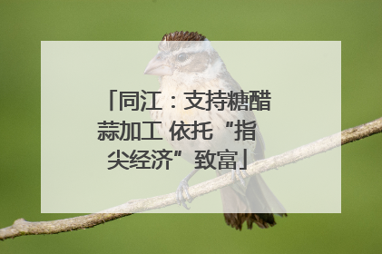 同江：支持糖醋蒜加工 依托“指尖经济”致富