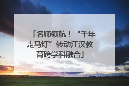 名师领航！“千年走马灯”转动江汉教育跨学科融合