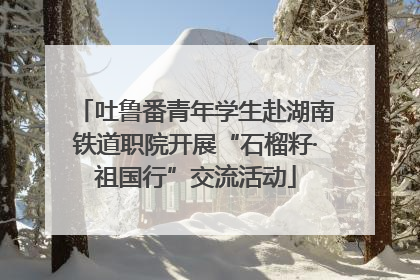 吐鲁番青年学生赴湖南铁道职院开展“石榴籽·祖国行”交流活动