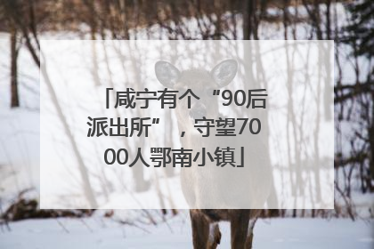 咸宁有个“90后派出所”，守望7000人鄂南小镇