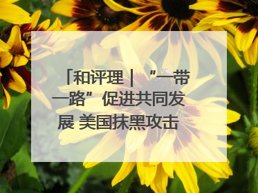和评理｜“一带一路”促进共同发展 美国抹黑攻击酸味十足
