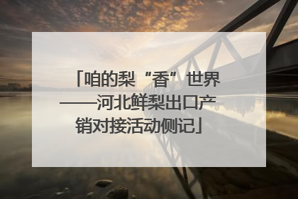 咱的梨“香”世界——河北鲜梨出口产销对接活动侧记