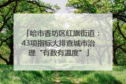 哈市香坊区红旗街道：43项指标大排查城市治理“有数有温度”