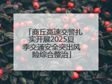 商丘高速交警扎实开展2025夏季交通安全突出风险综合整治