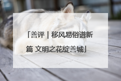 善评｜移风易俗谱新篇 文明之花绽善城