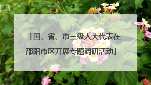 国、省、市三级人大代表在邵阳市区开展专题调研活动