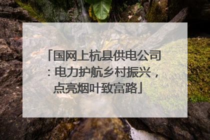 国网上杭县供电公司：电力护航乡村振兴，点亮烟叶致富路