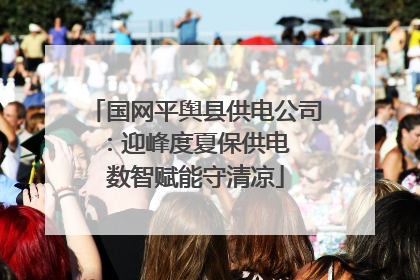国网平舆县供电公司：迎峰度夏保供电  数智赋能守清凉
