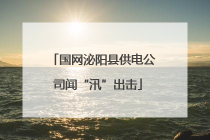 国网泌阳县供电公司闻“汛”出击