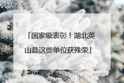 国家级表彰！湖北英山县这些单位获殊荣