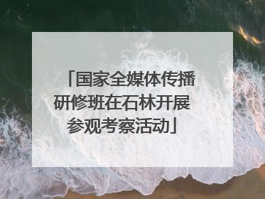 国家全媒体传播研修班在石林开展参观考察活动