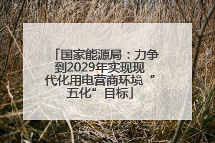 国家能源局：力争到2029年实现现代化用电营商环境“五化”目标
