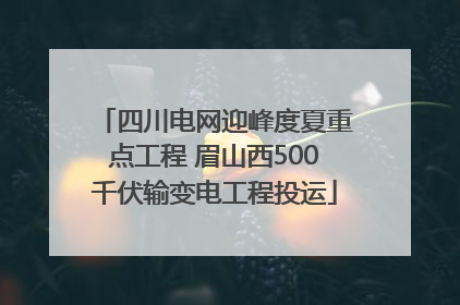 四川电网迎峰度夏重点工程 眉山西500千伏输变电工程投运