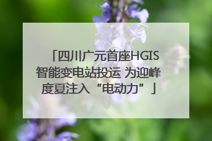 四川广元首座HGIS智能变电站投运 为迎峰度夏注入“电动力”