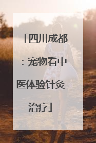四川成都：宠物看中医体验针灸治疗