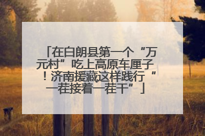 在白朗县第一个“万元村”吃上高原车厘子！济南援藏这样践行“一茬接着一茬干”
