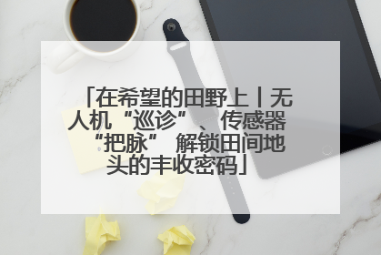 在希望的田野上丨无人机“巡诊”、传感器“把脉” 解锁田间地头的丰收密码