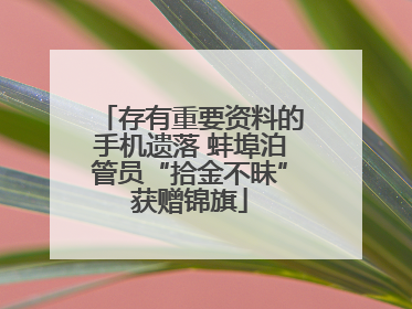 存有重要资料的手机遗落 蚌埠泊管员“拾金不昧”获赠锦旗
