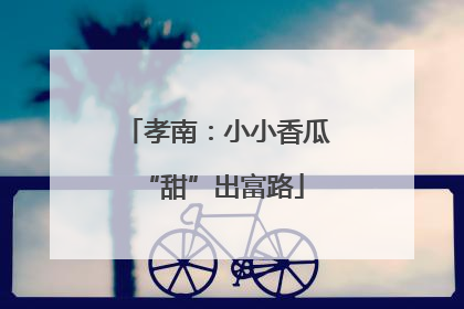 孝南：小小香瓜 “甜”出富路