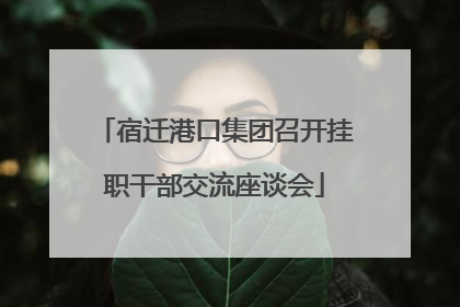 宿迁港口集团召开挂职干部交流座谈会