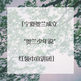 宁夏贺兰成立“贺兰少年说”红领巾宣讲团