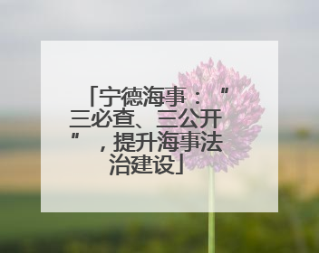 宁德海事：“三必查、三公开”，提升海事法治建设