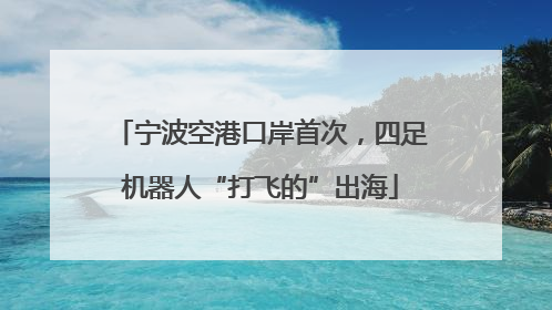 宁波空港口岸首次，四足机器人“打飞的”出海