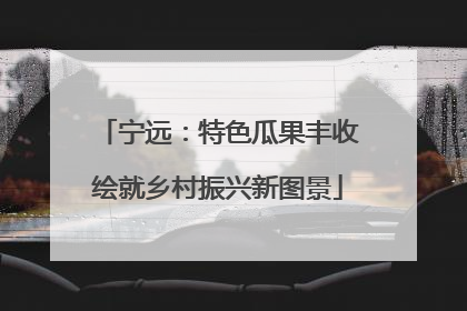 宁远：特色瓜果丰收绘就乡村振兴新图景