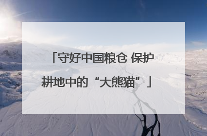 守好中国粮仓 保护耕地中的“大熊猫”