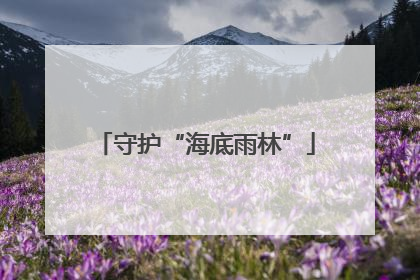 守护“海底雨林”