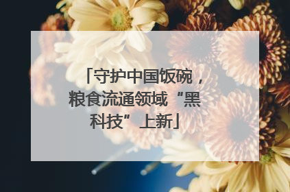 守护中国饭碗，粮食流通领域“黑科技”上新