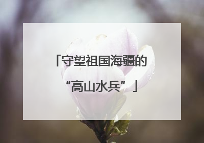 守望祖国海疆的“高山水兵”