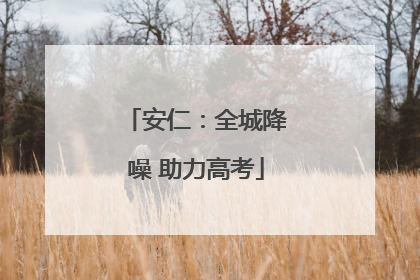 安仁：全城降噪 助力高考