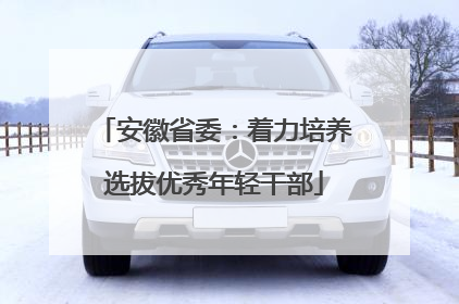 安徽省委：着力培养选拔优秀年轻干部
