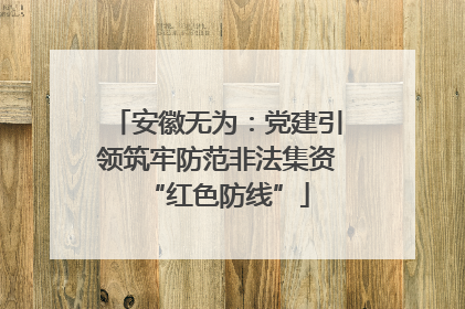 安徽无为：党建引领筑牢防范非法集资“红色防线”