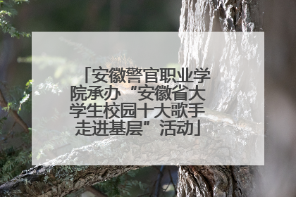 安徽警官职业学院承办“安徽省大学生校园十大歌手走进基层”活动