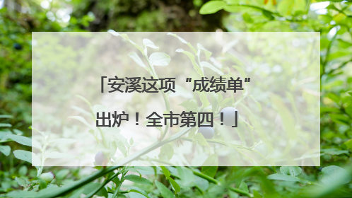 安溪这项“成绩单”出炉！全市第四！