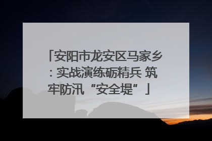 安阳市龙安区马家乡：实战演练砺精兵 筑牢防汛“安全堤”