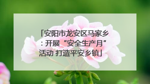 安阳市龙安区马家乡：开展“安全生产月”活动 打造平安乡镇