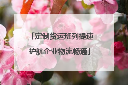 定制货运班列提速 护航企业物流畅通