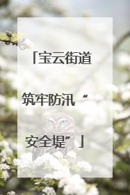 宝云街道筑牢防汛“安全堤”
