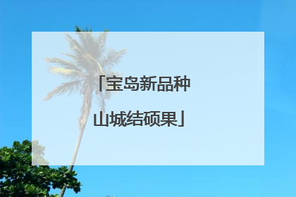 宝岛新品种 山城结硕果