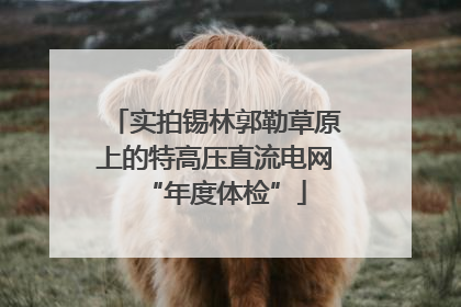 实拍锡林郭勒草原上的特高压直流电网“年度体检”