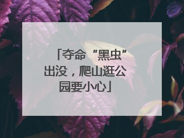 夺命“黑虫”出没，爬山逛公园要小心