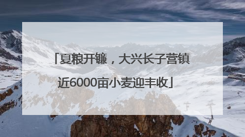 夏粮开镰，大兴长子营镇近6000亩小麦迎丰收