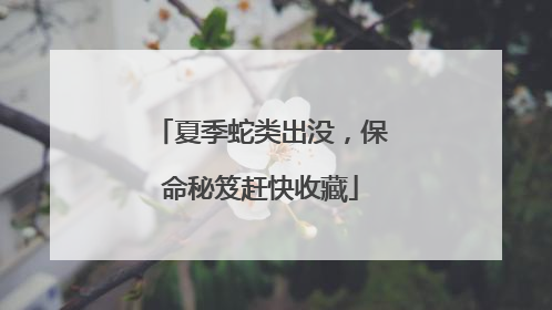夏季蛇类出没，保命秘笈赶快收藏