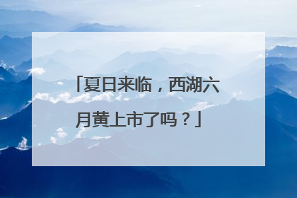 夏日来临，西湖六月黄上市了吗？