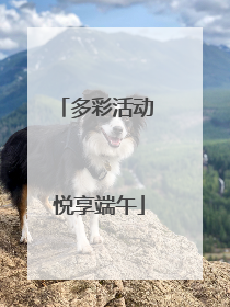 多彩活动 悦享端午