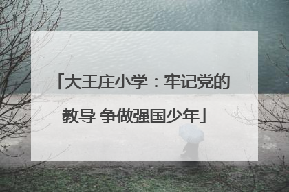 大王庄小学：牢记党的教导 争做强国少年